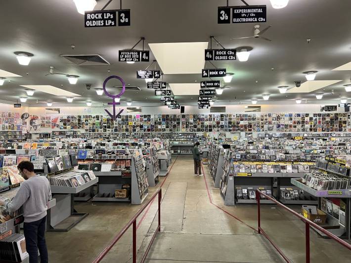 Amoeba Music